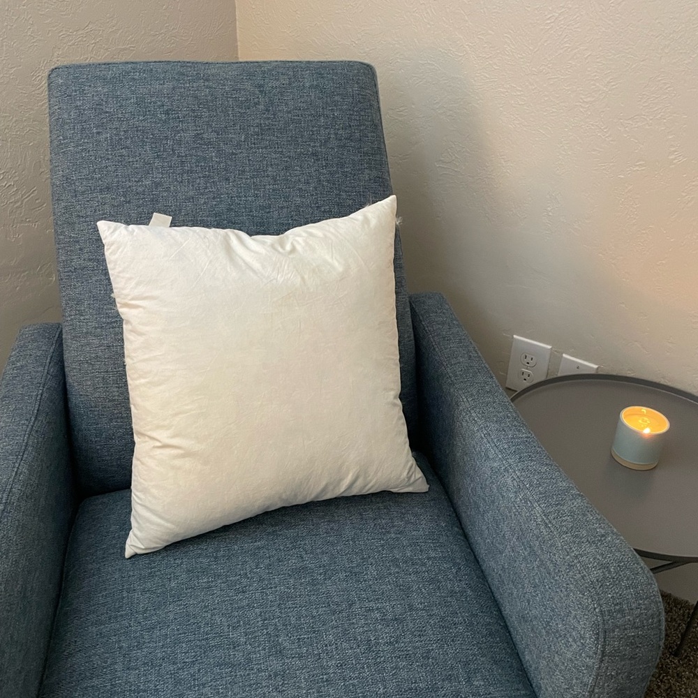 West Elm 18x18 pillow insert